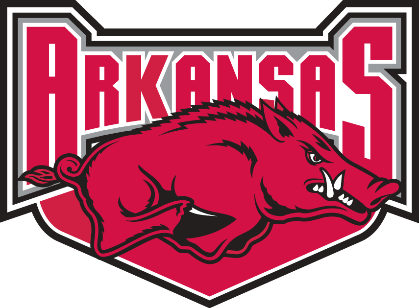 Arkansas Razorbacks 2001-2008 Alternate Logo iron on paper